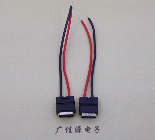 常平镇type c2p防水母座焊线式带线注塑成型带接线端子/不带接线端子充电连接器